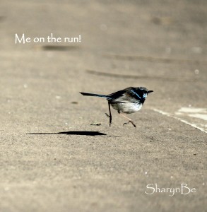 Me on the run!